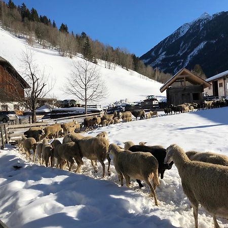 Auerhof Villa Schladming Bagian luar foto