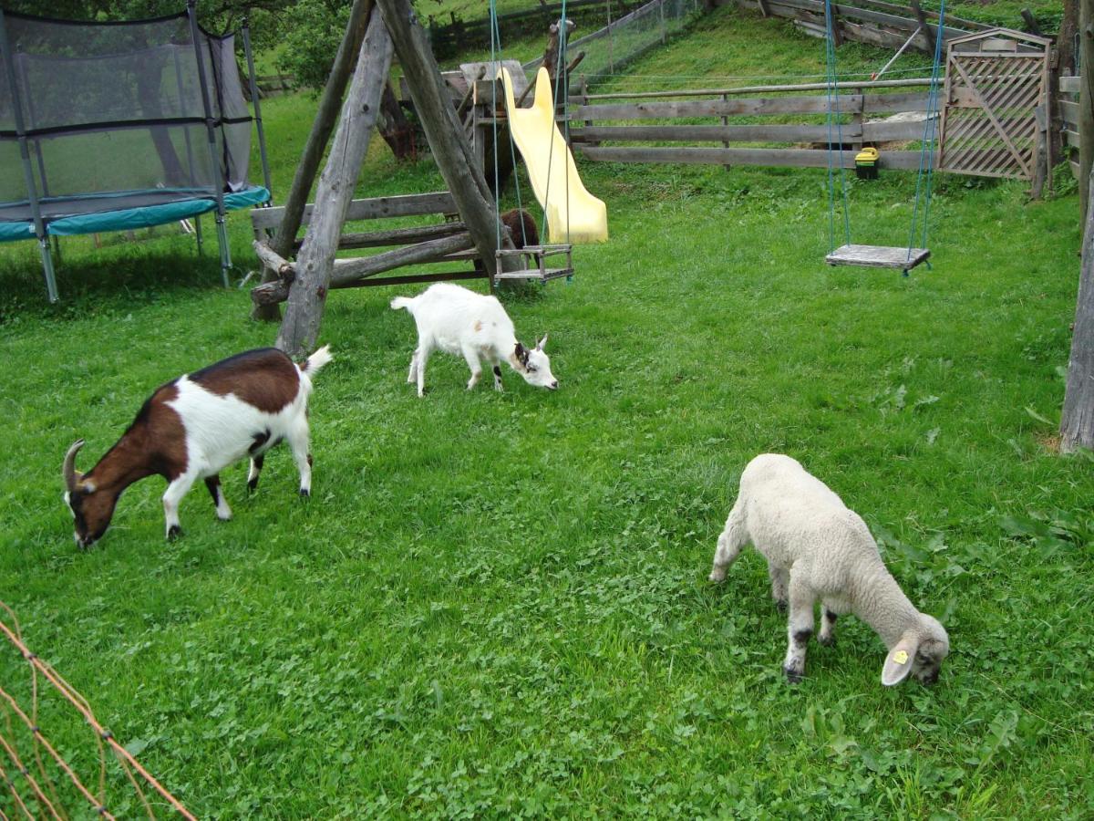 Auerhof Villa Schladming Bagian luar foto