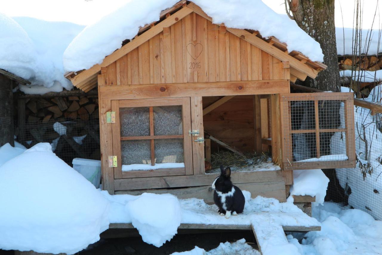 Auerhof Villa Schladming Bagian luar foto