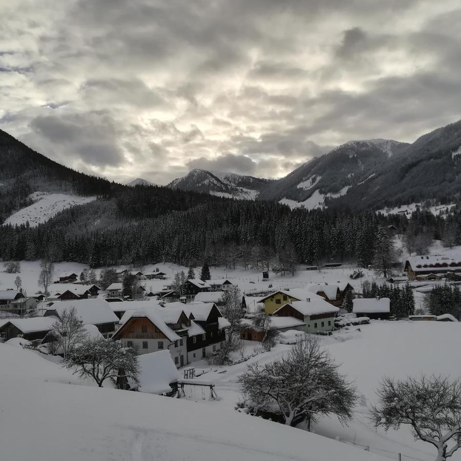 Auerhof Villa Schladming Bagian luar foto