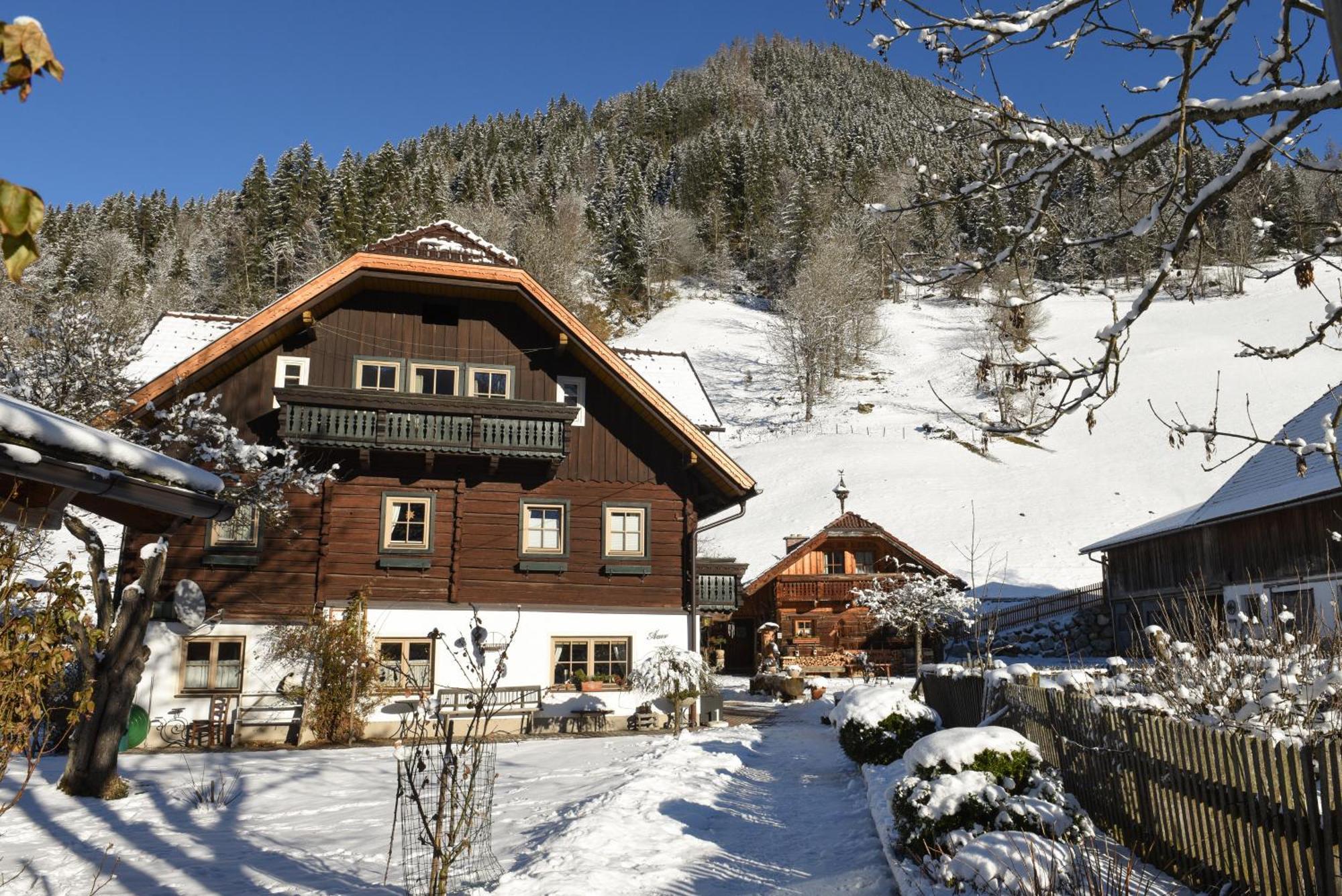 Auerhof Villa Schladming Bagian luar foto