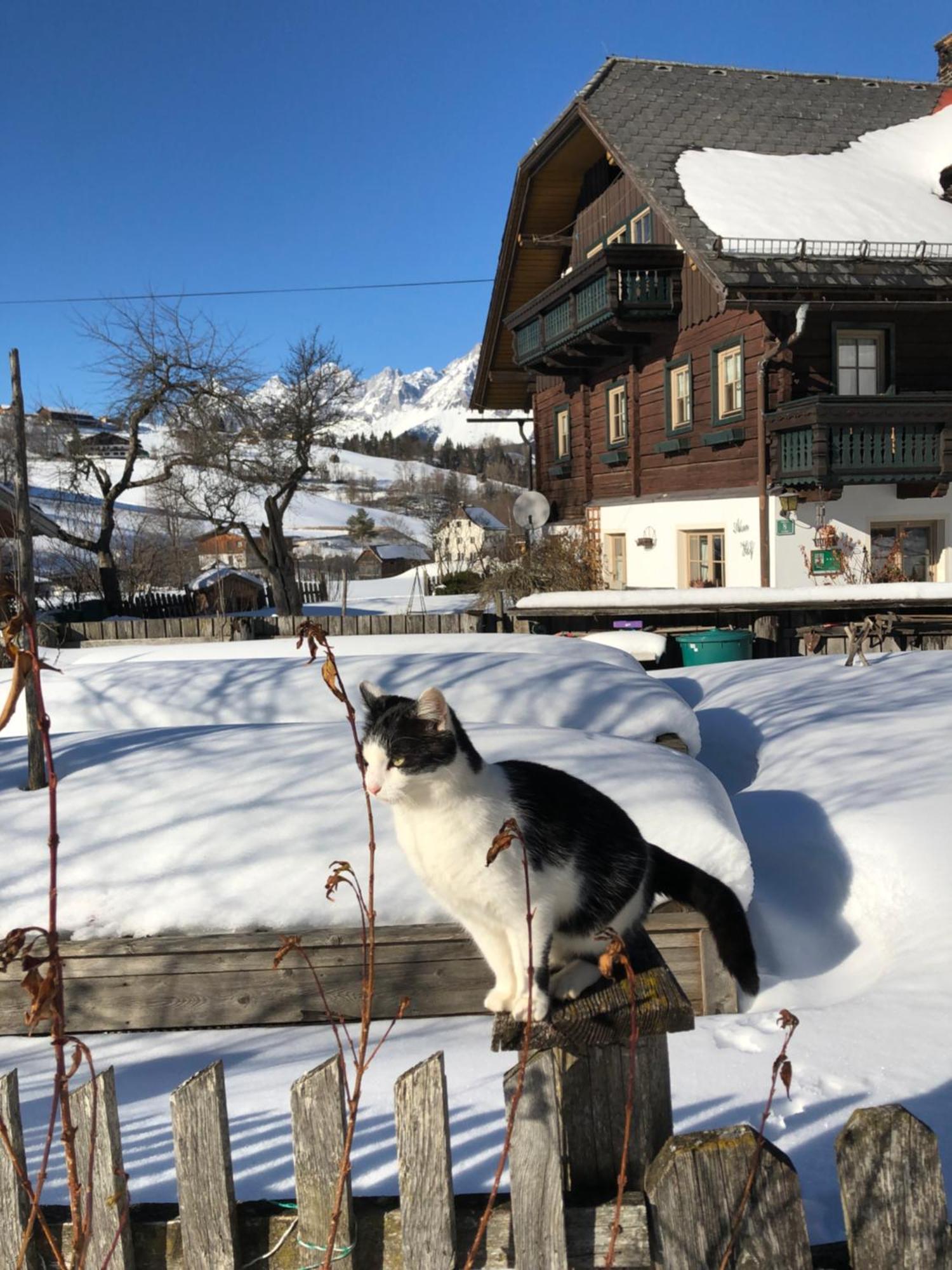 Auerhof Villa Schladming Bagian luar foto