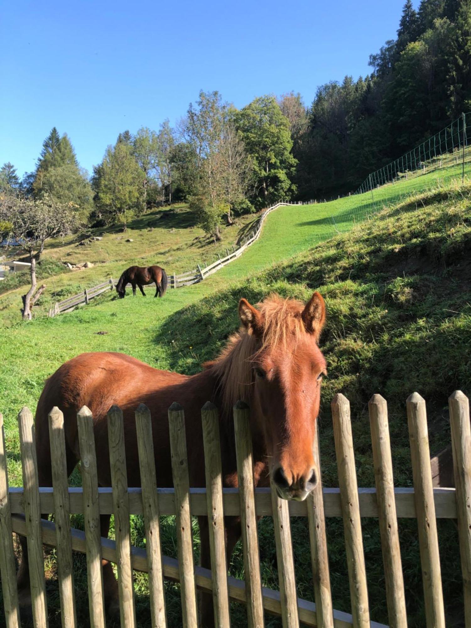Auerhof Villa Schladming Bagian luar foto