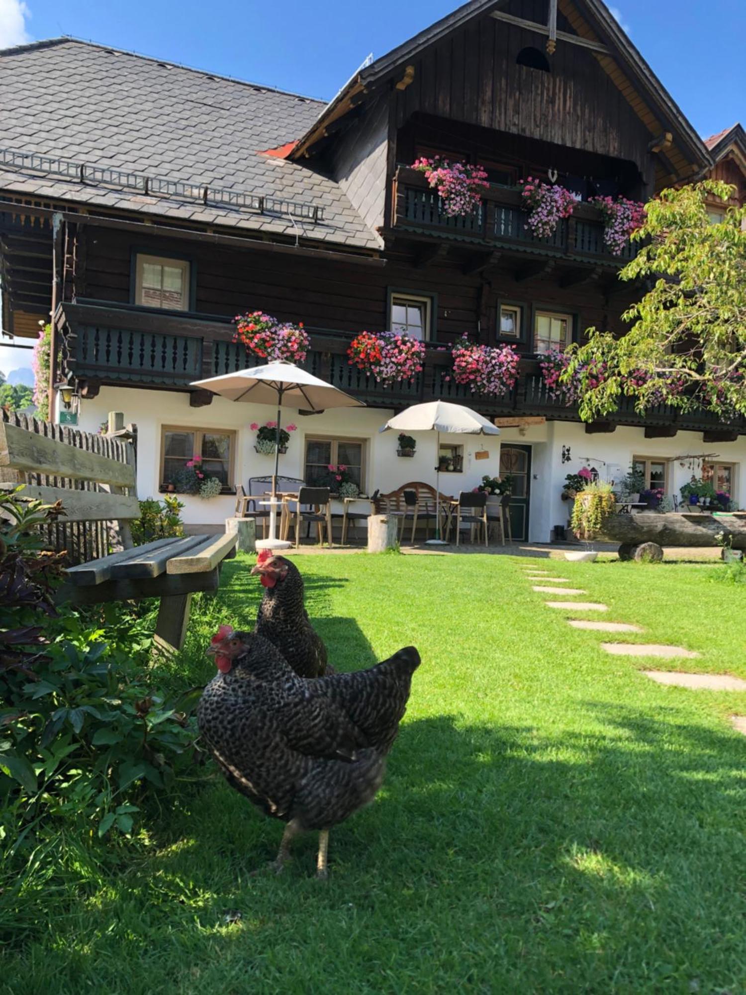 Auerhof Villa Schladming Bagian luar foto